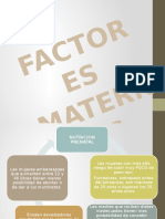 Factores Maternos Ambiente Prenatal Saludable