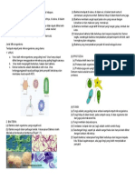 Mikroorganisma Ialah Hidupan