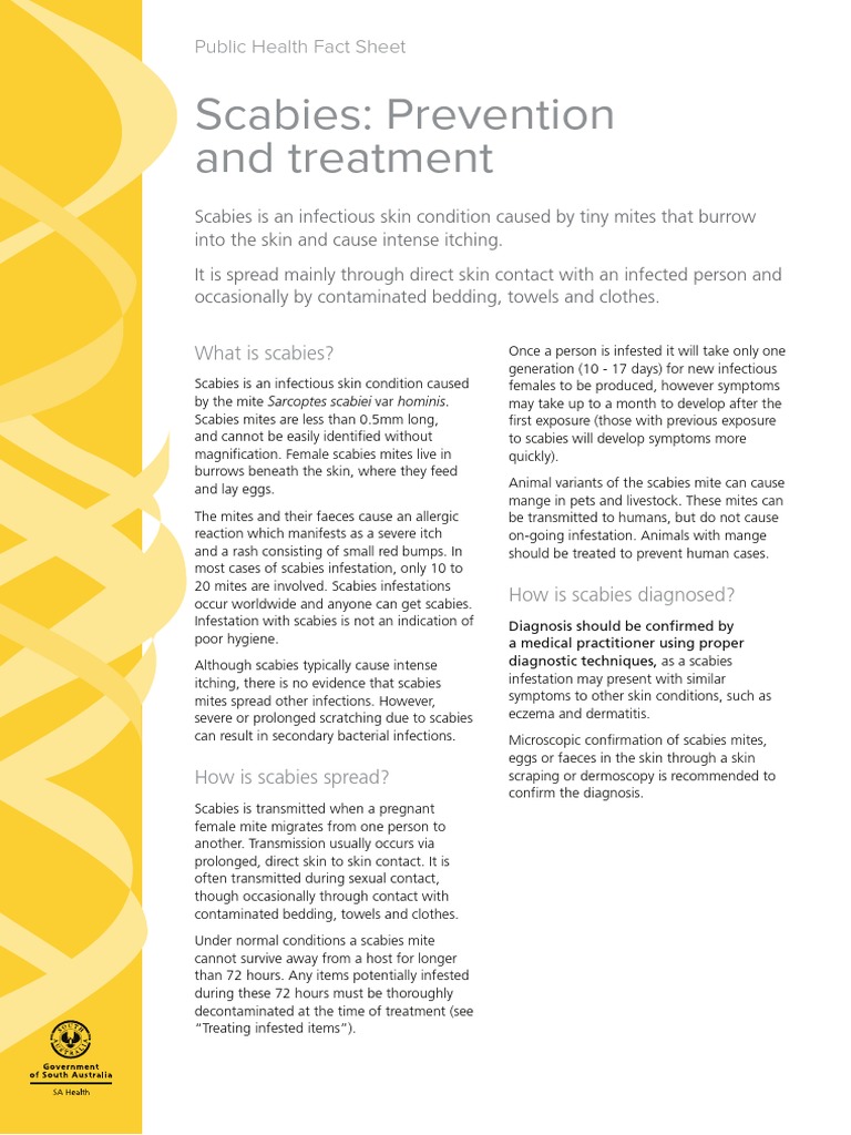 Scabies Prevention and Treatment Public Health Fact Sheet PDF Immunology Rtt