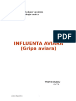 Gripa Aviara 