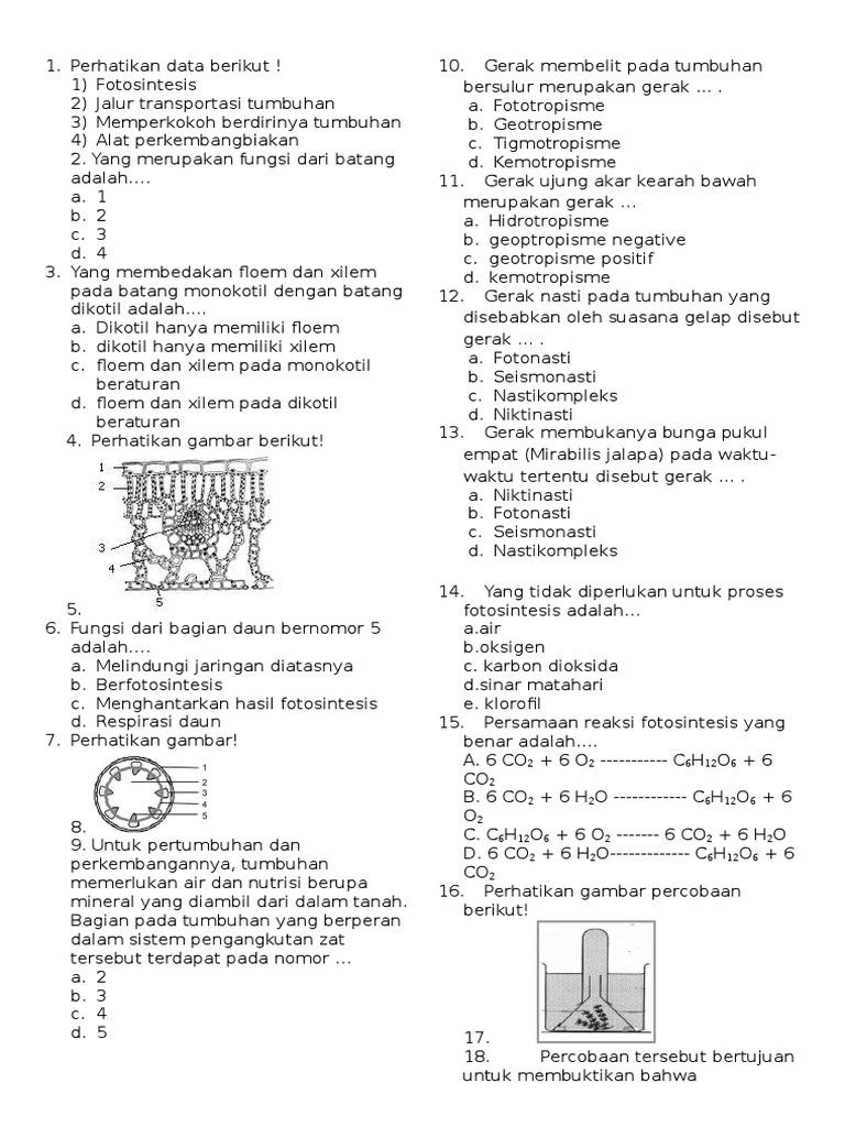 Soal UAS IPA Kelas 8 Semester Ganjil