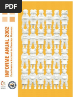 Informe anual 2002