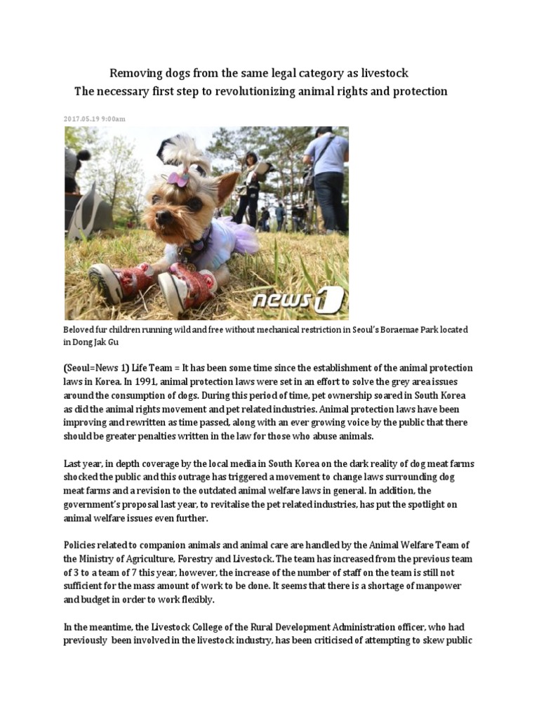 Nami Kim Translation PDF Animal Welfare Livestock