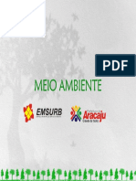 Arborizacao1 PDF