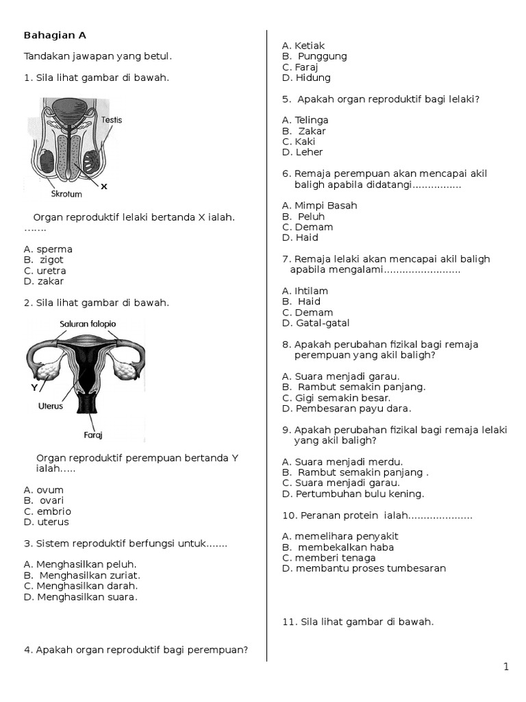 PPT PENDIDIKAN KESIHATAN THN 5