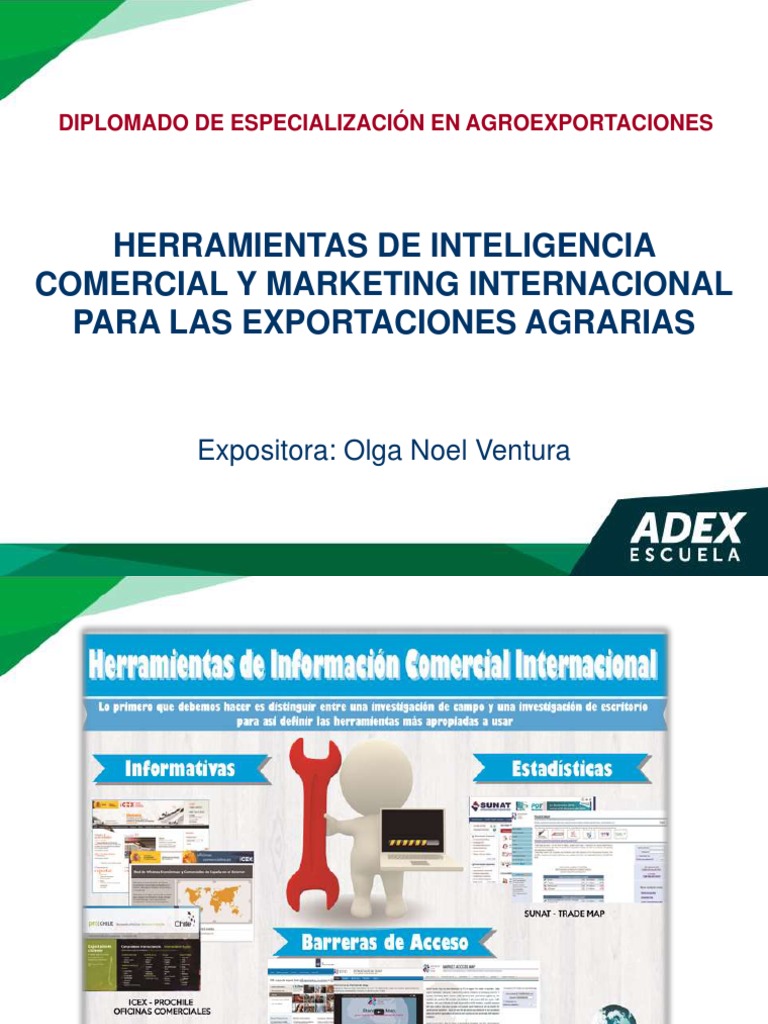Herramientas de Inteligencia Comercial.pdf Business Economías