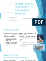 Cambios Fisiológicos Producidos Por El Cu en Organismos Marinos