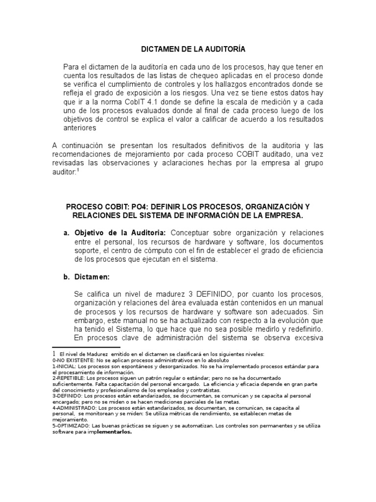 Ejemplo Dictamen de La Auditoria 2017 | Contralor | Bases de datos