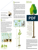 Cartilha de Arborização Urbana 2