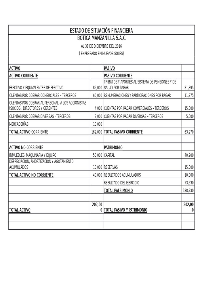 Estado de Situacion Financiera | PDF | Activo fijo | Hoja de balance