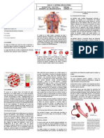 Aparato Circulatorio PDF