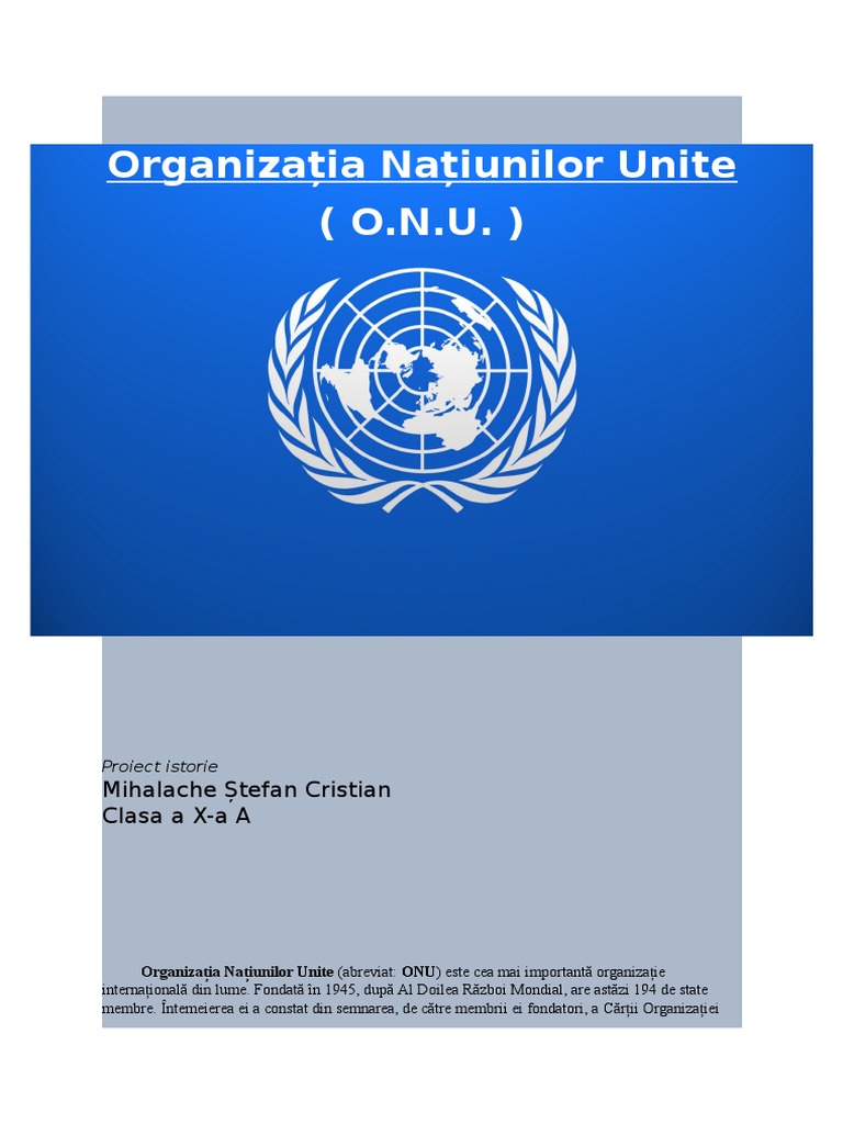 Proiect ONU | PDF