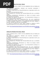 Circuito Productivo Del Trigo - Geografía | PDF | Trigo | Harina