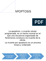 Apoptosis