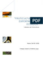 Fruti exportacion 