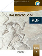 Paleontologi x 1