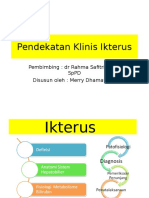 Pendekatan Klinis Ikterik