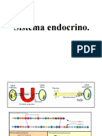 11.- Endocrino-2015