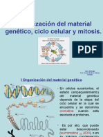 Ciclo Celular y Mitosis II Medio JMS