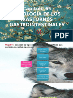 Trastornos gastrointestinales 66.pptx