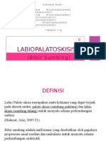 Labiopalatoskisis