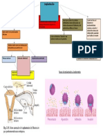 Implantación.docx