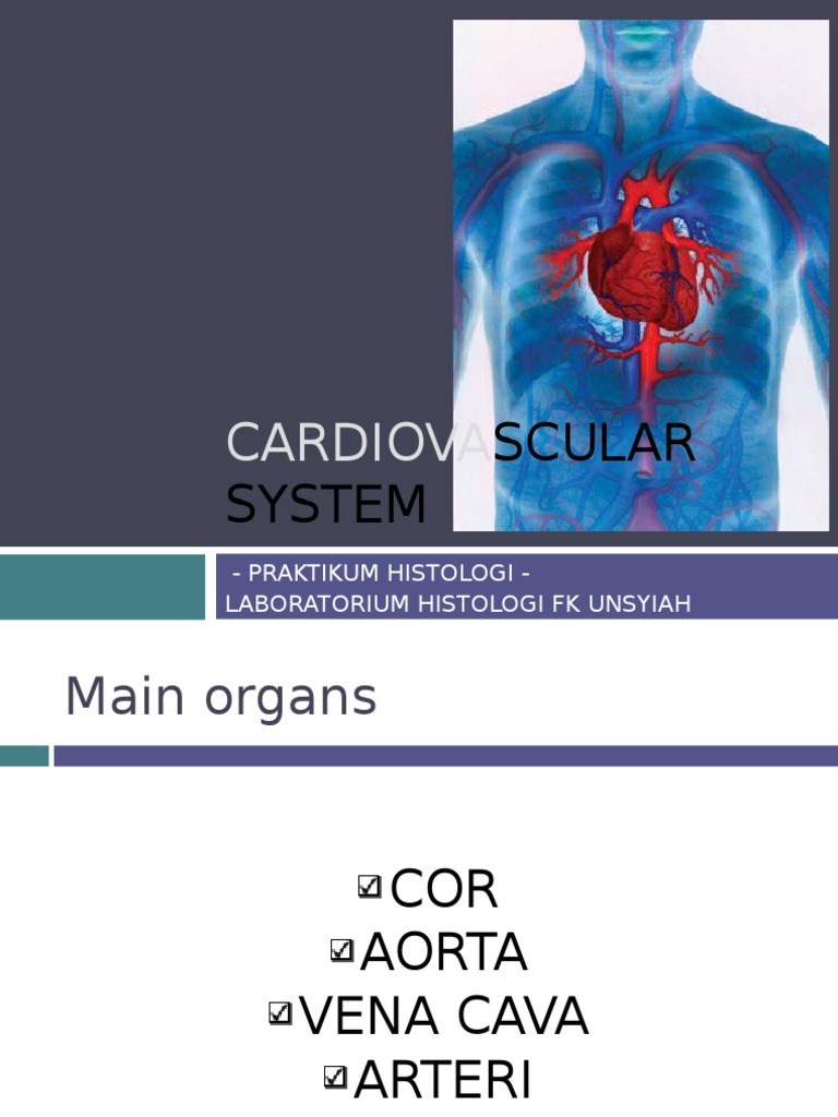 Cardiovascular System | PDF | Science & Mathematics