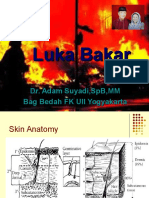 Luka Bakar DR Adam