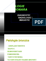 Pulmonar 2