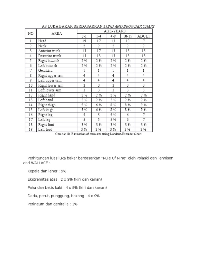 As Luka Bakar Berdasarkan Lund and Browder Chart | PDF