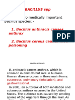 Bacillus SPP: There Are Two Medically Important
