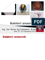 Bakteri Anaerob