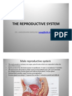 The Reproductive System (Compatibility Mode)