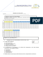 Prueba de Mitosis y Meiosis 2 Medio 2017