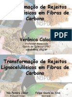 transformação-de-compostos-lignocelulosicos-em-fibras-de-carbono.pdf
