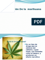Legalización de La Marihuana