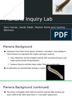 Planaria Inquiry Lab