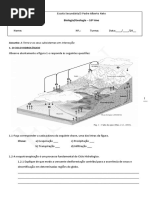 BG 10 Subsistemas Em Interacção FT