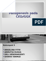 Patogenesis Pada CKD/GGK