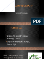 Organ Vegetatif