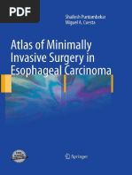 Atlas of Minimally Invasive Surgery in Esophageal Carcinoma (Puntambekar)