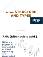 RNA Structure and Types