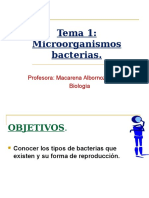 Bacterias 7MO BASICO 16