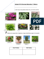 Guía de Aprendizaje N°16 Ciencias Naturales 1° Básico: Nombre