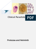 Clinical Parasitology Board Review