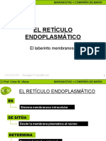 El Reticulo Endoplasmatico MCM