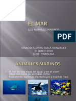 El Mar