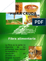 fibracruda-130923192317-phpapp01