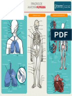 3y6rj3a.pdf