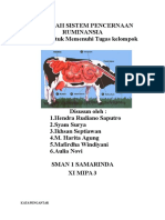 Download MAKALAH SISTEM PENCERNAAN RUMINANSIAdocx by Nabilla Zahera SN349164462 doc pdf